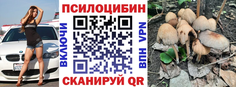 Галлюциногенные грибы Magic Shrooms  цена наркотик  Светлогорск 